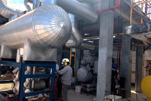 PLANTA CONGELADO - 1 TUNEL IQF 1500KG/H 1 CAMARA 800TN SALAS, ANTECAMARA  SISTEMA NH3, FREON